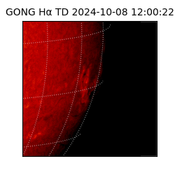 gong - 2024-10-08T12:00:22