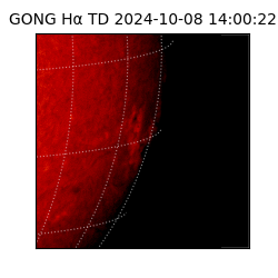 gong - 2024-10-08T14:00:22