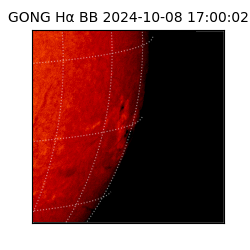 gong - 2024-10-08T17:00:02