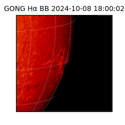 gong - 2024-10-08T18:00:02