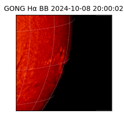 gong - 2024-10-08T20:00:02