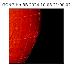 gong - 2024-10-08T21:00:02