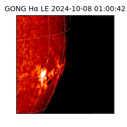 gong - 2024-10-08T01:00:42