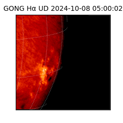 gong - 2024-10-08T05:00:02