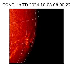 gong - 2024-10-08T08:00:22