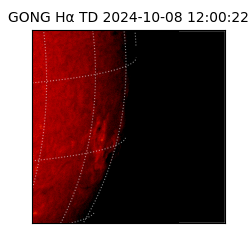 gong - 2024-10-08T12:00:22