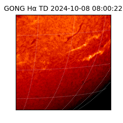 gong - 2024-10-08T08:00:22