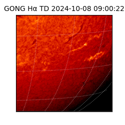 gong - 2024-10-08T09:00:22