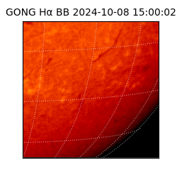 gong - 2024-10-08T15:00:02