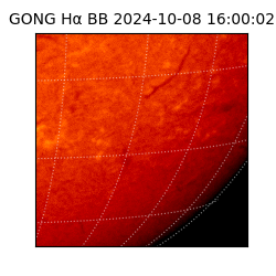 gong - 2024-10-08T16:00:02