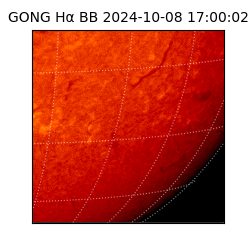 gong - 2024-10-08T17:00:02