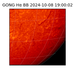 gong - 2024-10-08T19:00:02