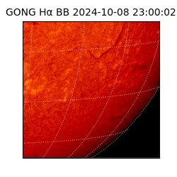 gong - 2024-10-08T23:00:02