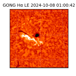 gong - 2024-10-08T01:00:42