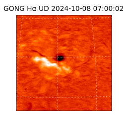 gong - 2024-10-08T07:00:02