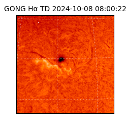 gong - 2024-10-08T08:00:22