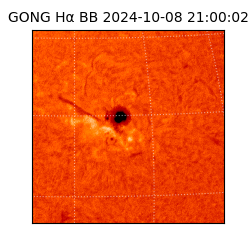gong - 2024-10-08T21:00:02
