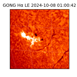 gong - 2024-10-08T01:00:42