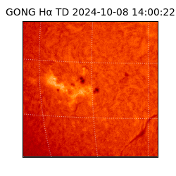 gong - 2024-10-08T14:00:22