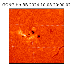 gong - 2024-10-08T20:00:02
