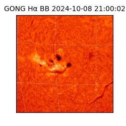 gong - 2024-10-08T21:00:02