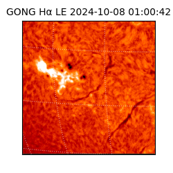 gong - 2024-10-08T01:00:42