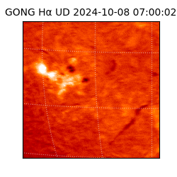 gong - 2024-10-08T07:00:02