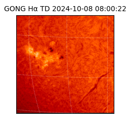 gong - 2024-10-08T08:00:22