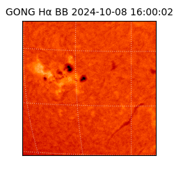 gong - 2024-10-08T16:00:02