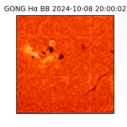 gong - 2024-10-08T20:00:02