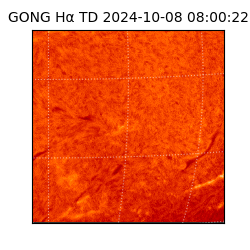 gong - 2024-10-08T08:00:22