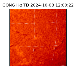 gong - 2024-10-08T12:00:22