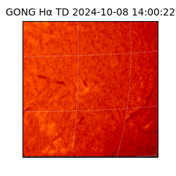 gong - 2024-10-08T14:00:22