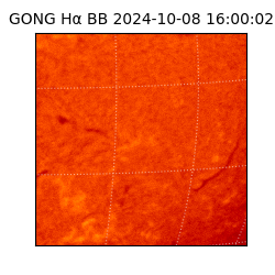 gong - 2024-10-08T16:00:02