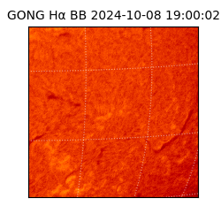 gong - 2024-10-08T19:00:02