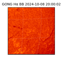 gong - 2024-10-08T20:00:02