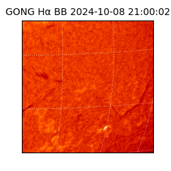gong - 2024-10-08T21:00:02
