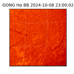 gong - 2024-10-08T23:00:02