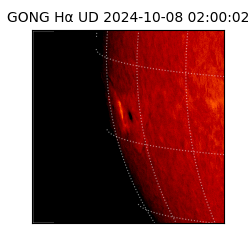 gong - 2024-10-08T02:00:02