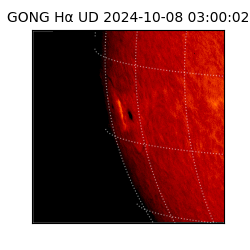 gong - 2024-10-08T03:00:02