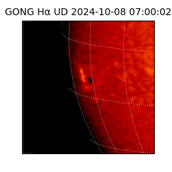 gong - 2024-10-08T07:00:02