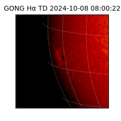 gong - 2024-10-08T08:00:22