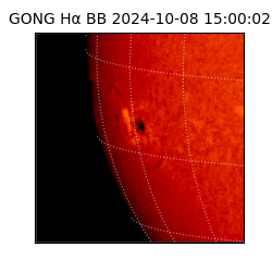 gong - 2024-10-08T15:00:02