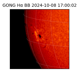 gong - 2024-10-08T17:00:02