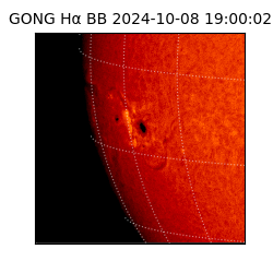 gong - 2024-10-08T19:00:02