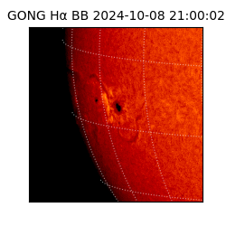 gong - 2024-10-08T21:00:02