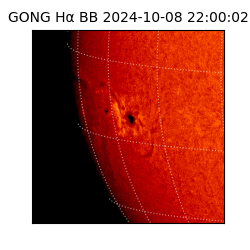 gong - 2024-10-08T22:00:02