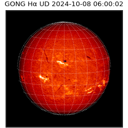 gong - 2024-10-08T06:00:02