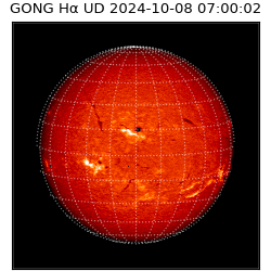 gong - 2024-10-08T07:00:02