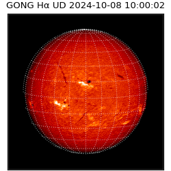 gong - 2024-10-08T10:00:02